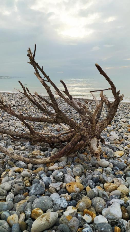 Le Clapotis De L'O, Calme, Balcon Sur La Mer, A 2 H De Paris 얼트 외부 사진